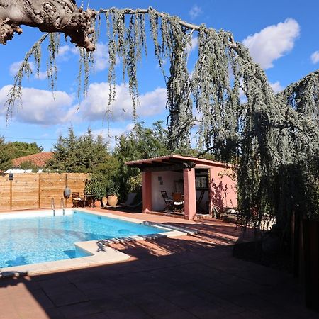El Cedre Blau Vivienda Con Piscina En Granollers Vila Exterior foto